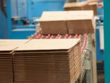 Công nghiệp bao bì Việt Nam hướng tới phát triển bền vững